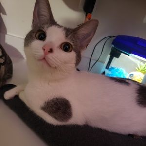 Meet your Posher, Brooke